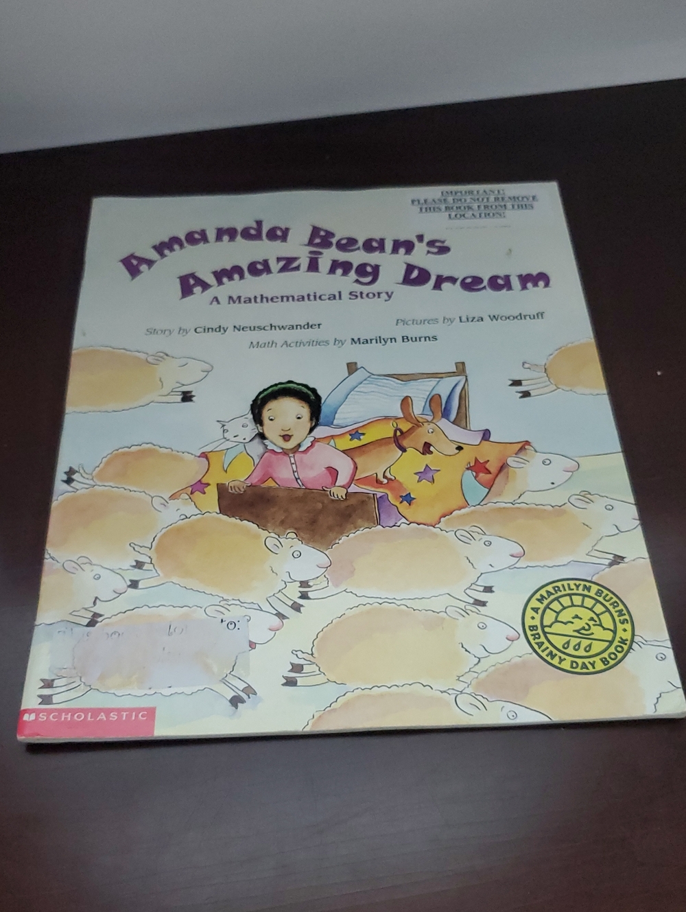 Amamda Beans Amazing Dream By Cindy Neuschwander, Marilyn Burns Preowned